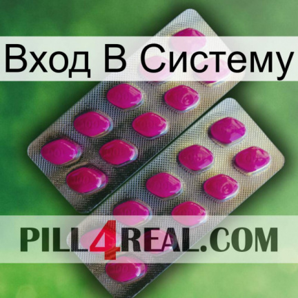 Вход В Систему 10